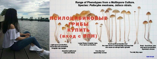 спиды Беломорск