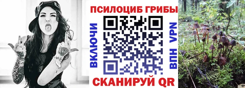 Псилоцибиновые грибы Psilocybe  Афипский 