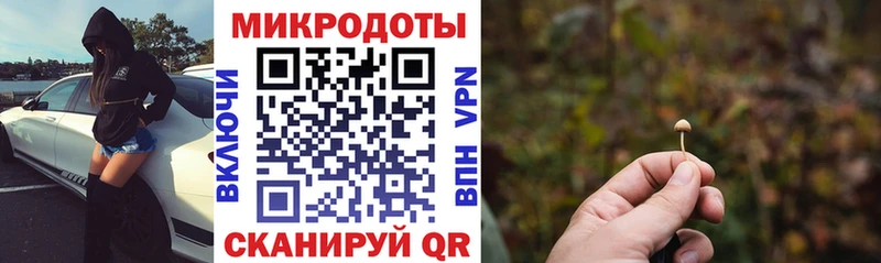 Псилоцибиновые грибы мицелий Афипский